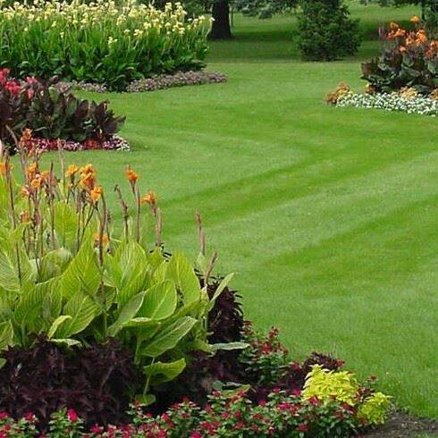 Lawn mowed in a zigzag pattern to accommodate the flower beds planted in a zigzag pattern.