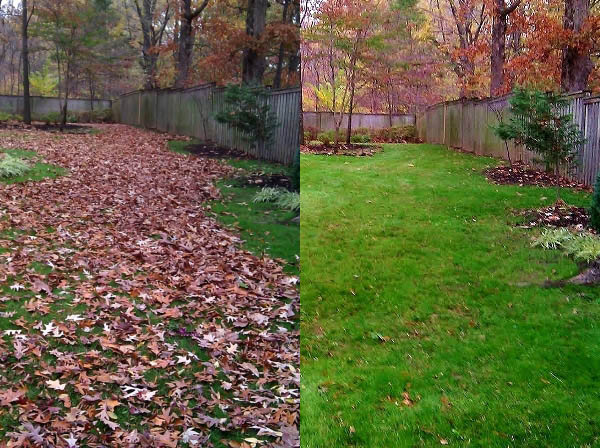 Spring & Fall Cleanup Des Moines Norwalk Seasonal - Des Moines, Iowa