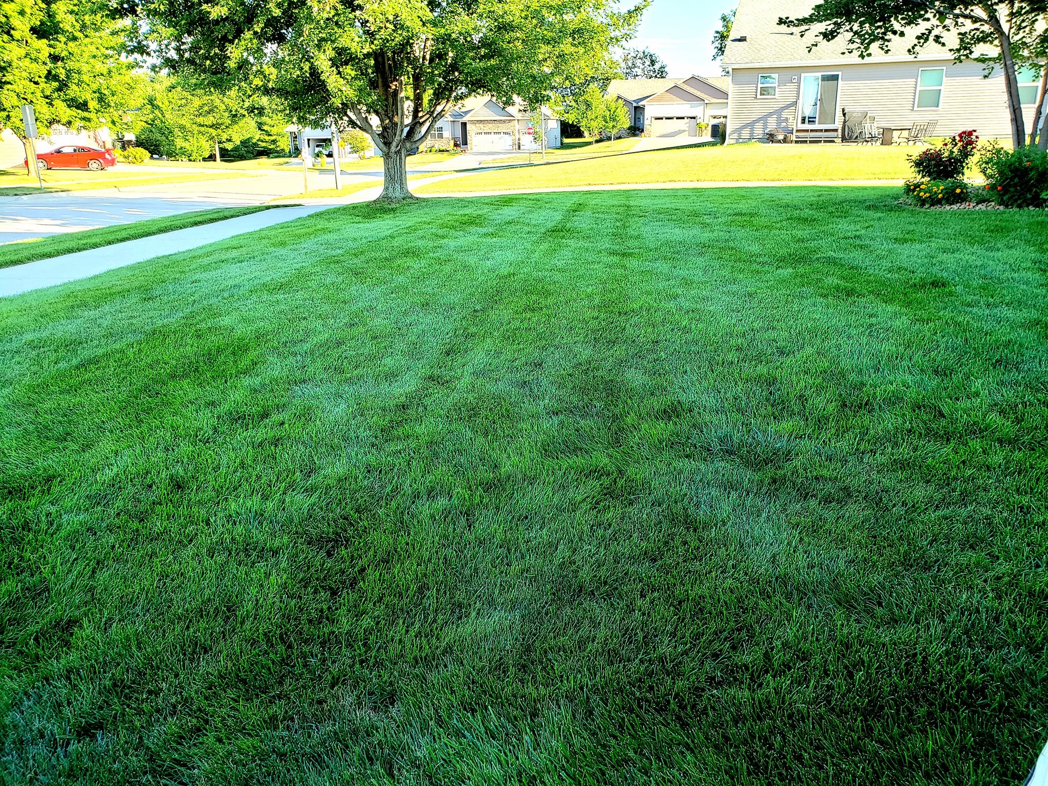 Perfect Mowed yard by Norwalk Seasonal - Des Moines, Iowa