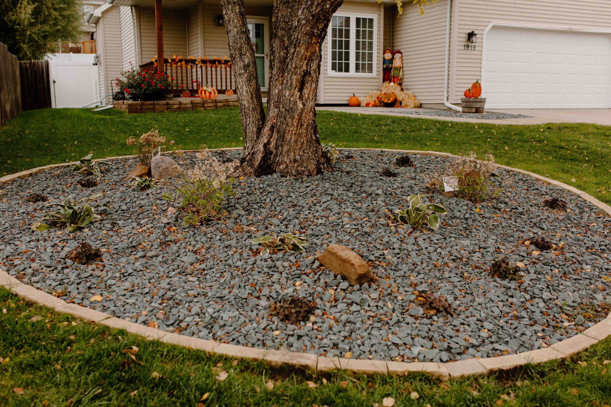 Rock Garden around Tree Norwalk Seasonal - Des Moines, Iowa