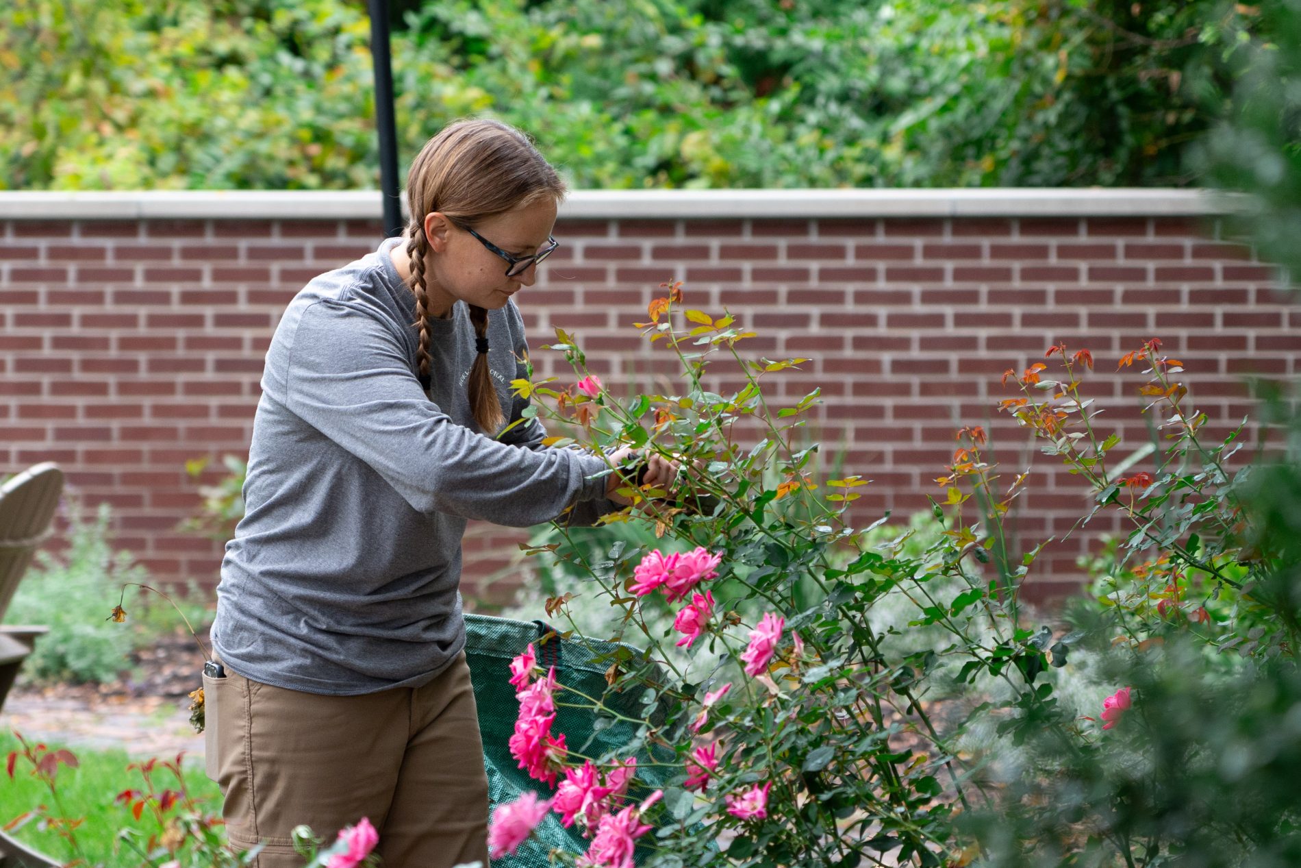 garden bed maintainance -23