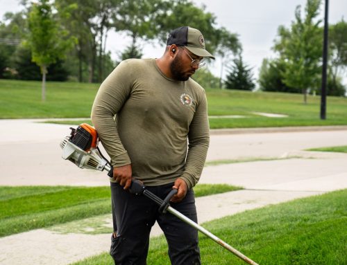 Des Moines Loosens Landscaping Rules: What Homeowners Need to Know